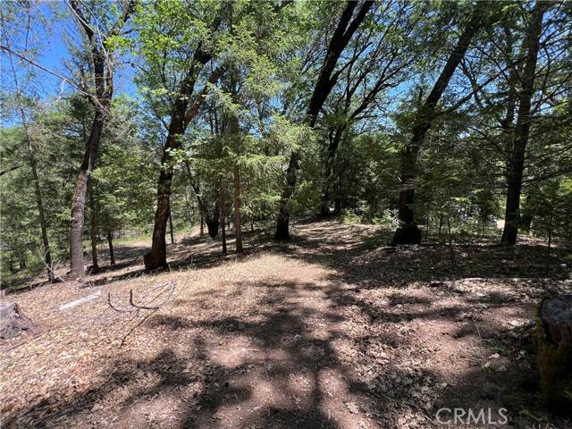 Cobb, CA 95426,15675 Bottle Rock