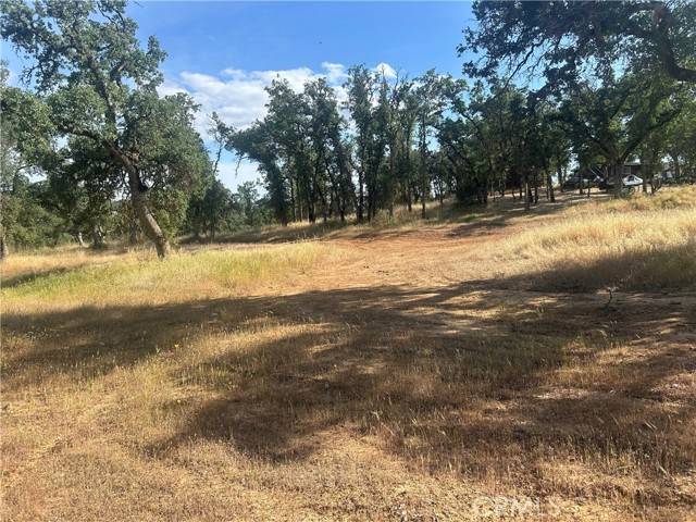 Clearlake, CA 95422,16345 38th
