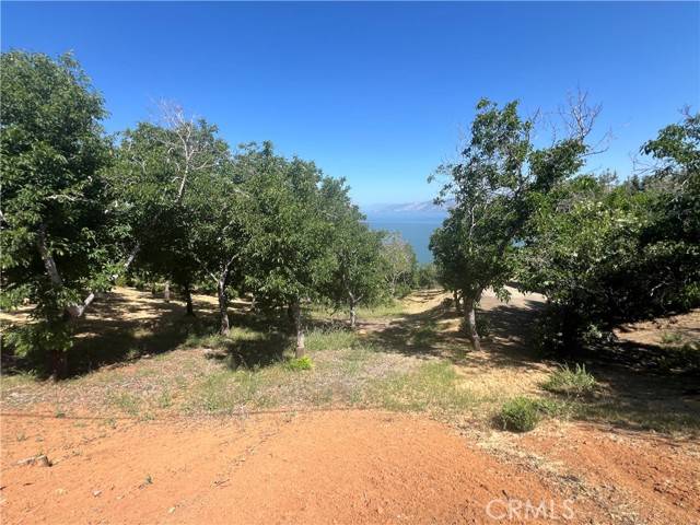 Kelseyville, CA 95451,3031 Westridge