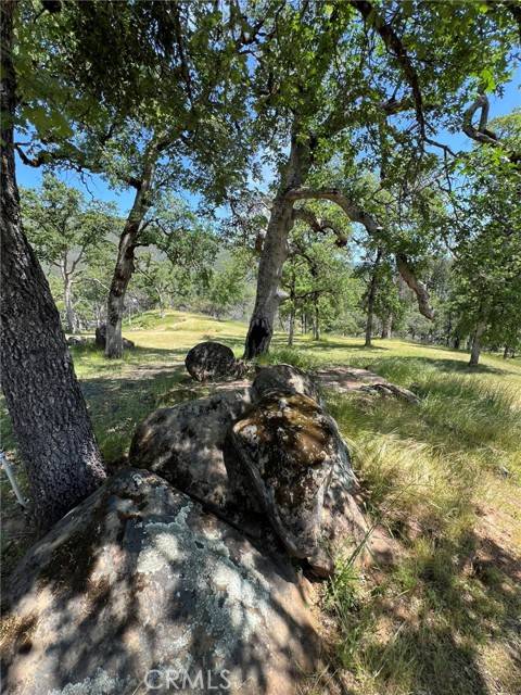 Upper Lake, CA 95485,12609 Elk Mountain