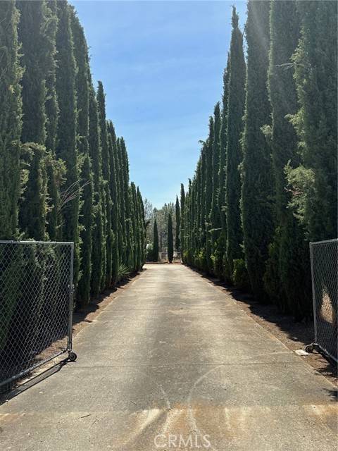 Clearlake Oaks, CA 95423,17307 Dogwood Way
