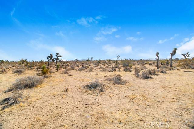 Joshua Tree, CA 92252,0 La Habra