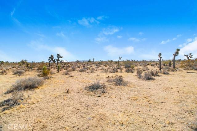 Joshua Tree, CA 92252,0 La Habra