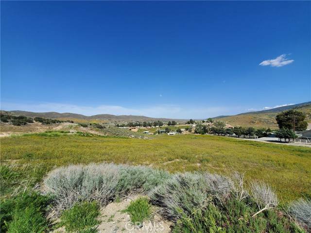 Leona Valley, CA 93551,87 W 87th