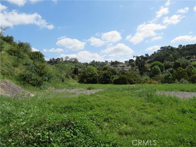 Mount Washington, CA 90065,3597 Loma Lada Dr