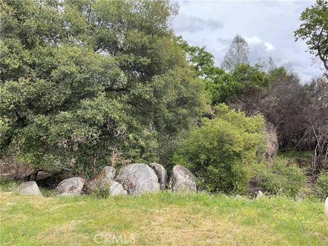 Mariposa, CA 95338,4165 Live Oak Road