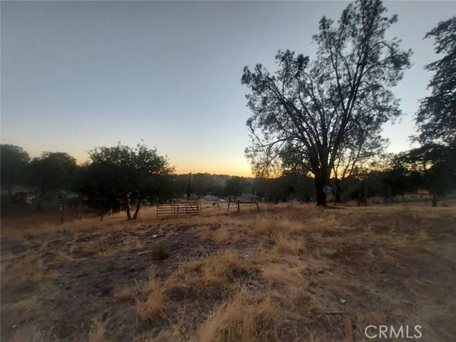 Coulterville, CA 95311,3358 Maravilla Drive