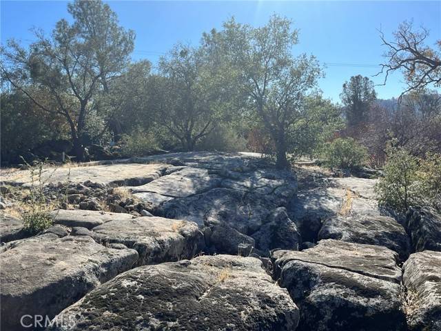 Mariposa, CA 95338,4148 Burl