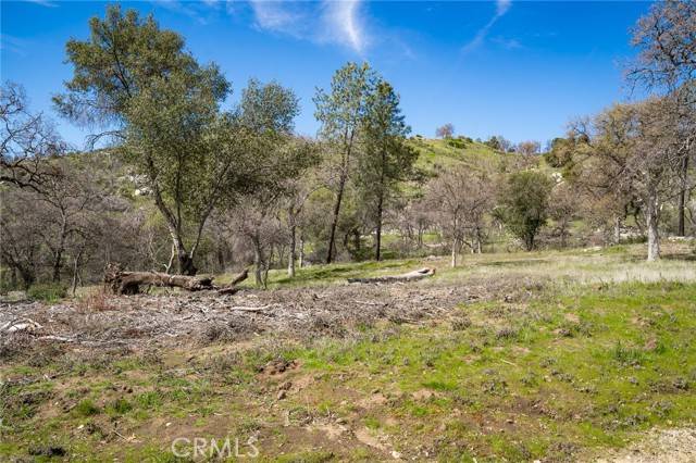 Mariposa, CA 95338,3831 Broncho Hollow