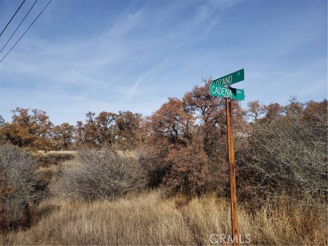 Coulterville, CA 95311,14000 Cadena