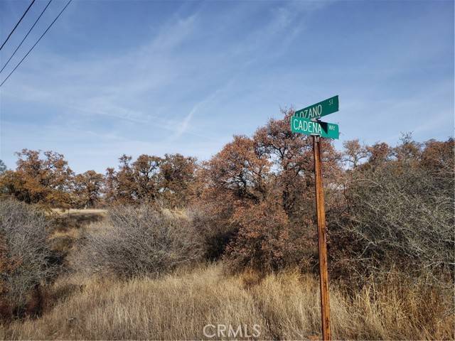 Coulterville, CA 95311,14000 Cadena