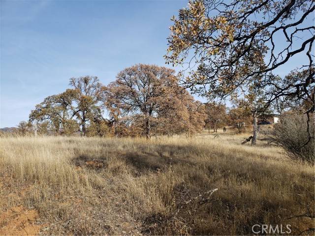 Coulterville, CA 95311,14000 Cadena