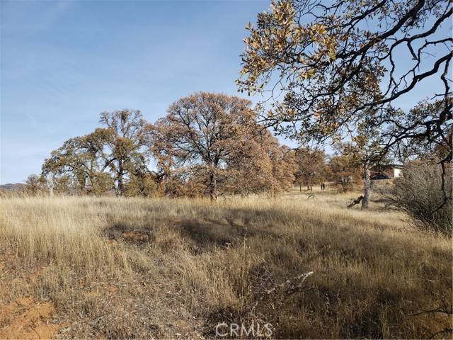 Coulterville, CA 95311,14000 Cadena