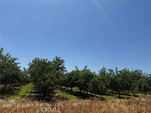 Livingston, CA 95334,0 Sunset