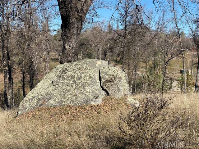 North Fork, CA 93643,0 Bird House Ct