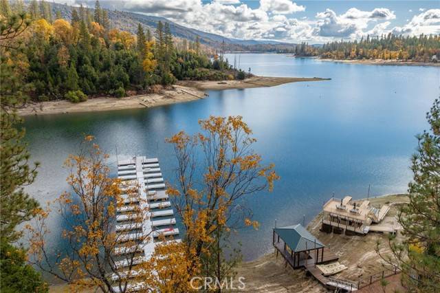 Bass Lake, CA 93604,54801 Willow Cove Lane