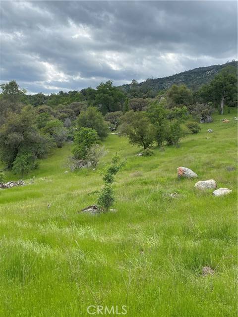 O'neals, CA 93645,0 RD 236