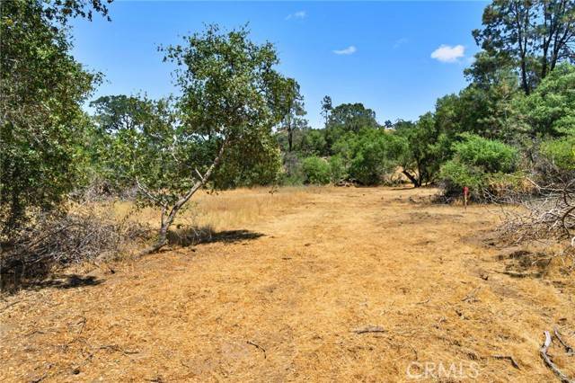 Coarsegold, CA 93614,1812 Sentinel Ct