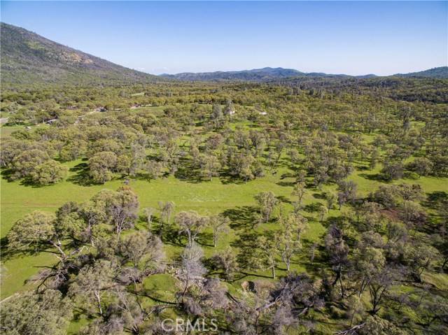 Mariposa, CA 95338,6740 Pendola Garden