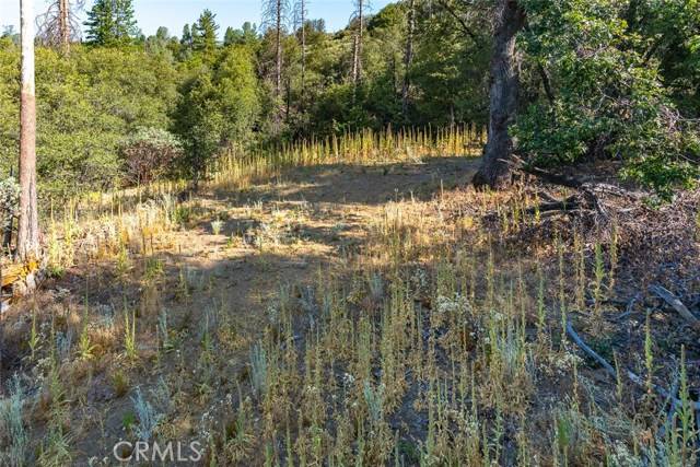 Mariposa, CA 95338,0 Vista Lago Ln. Lot #15