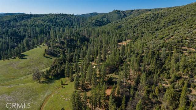 Coulterville, CA 95311,0 Bull Creek