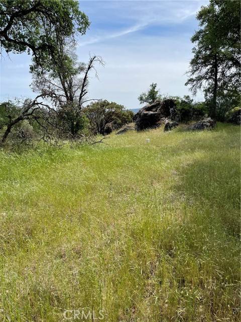 Mariposa, CA 95338,4371 Burl