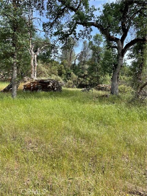 Mariposa, CA 95338,4371 Burl