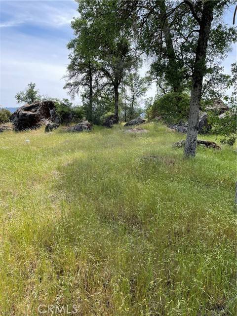 Mariposa, CA 95338,4371 Burl