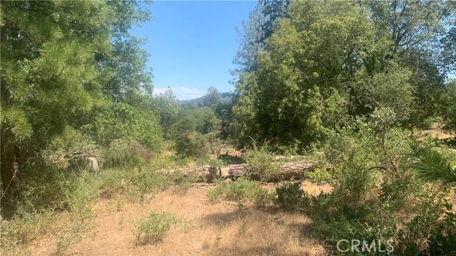 Mariposa, CA 95338,3038 Country