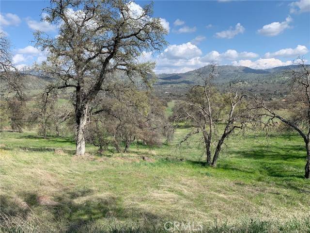 Catheys Valley, CA 95306,3288 Blue Oak