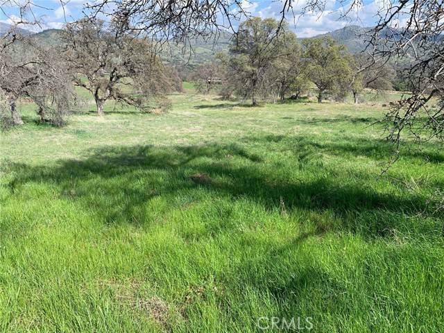 Catheys Valley, CA 95306,3288 Blue Oak