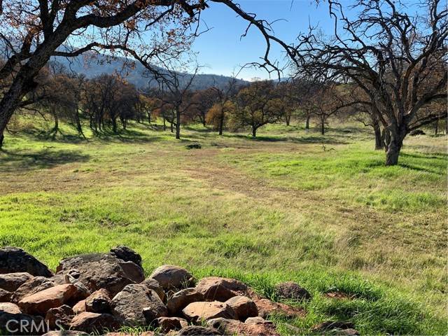 Catheys Valley, CA 95306,3295 Blue Oak