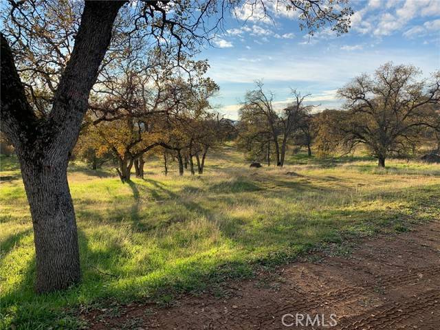 Catheys Valley, CA 95306,3295 Blue Oak