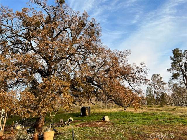 Mariposa, CA 95338,5375 Pearce Ranch