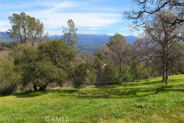 Mariposa, CA 95338,4290 Spring View