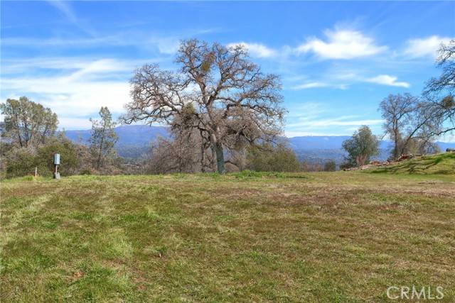 Mariposa, CA 95338,4290 Spring View