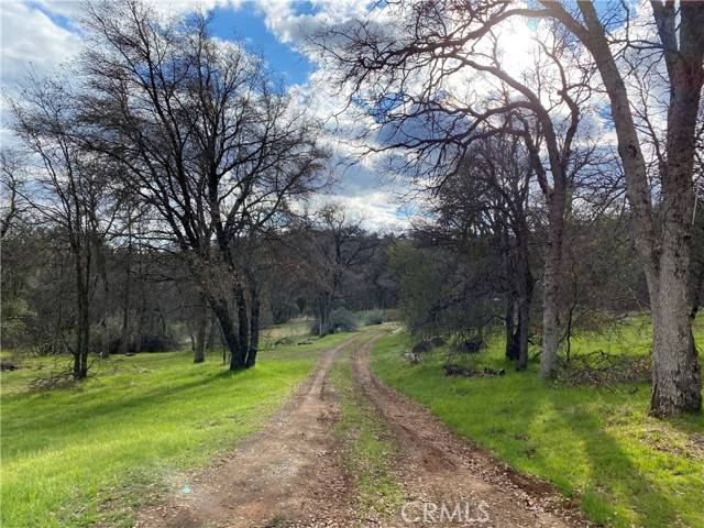 Midpines, CA 95338,5521 Serpentine Road