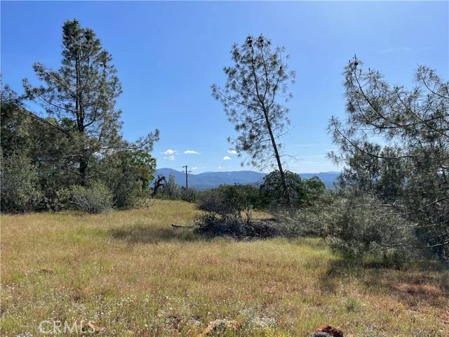 Mariposa, CA 95338,0 Yellow Pine Hill