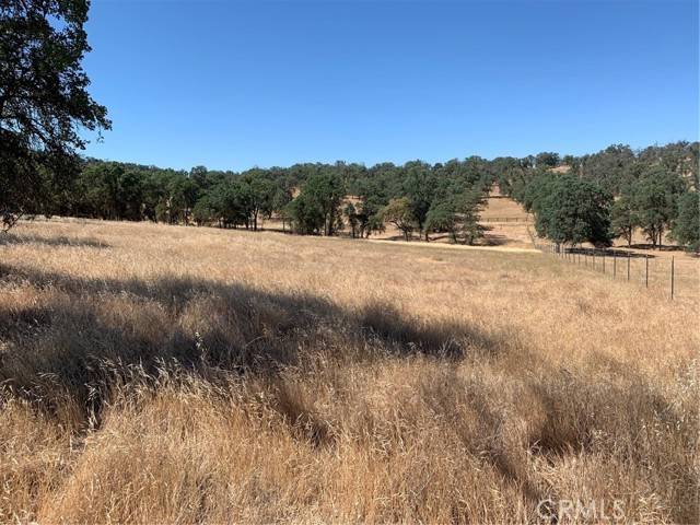 Catheys Valley, CA 95306,5 Thunder