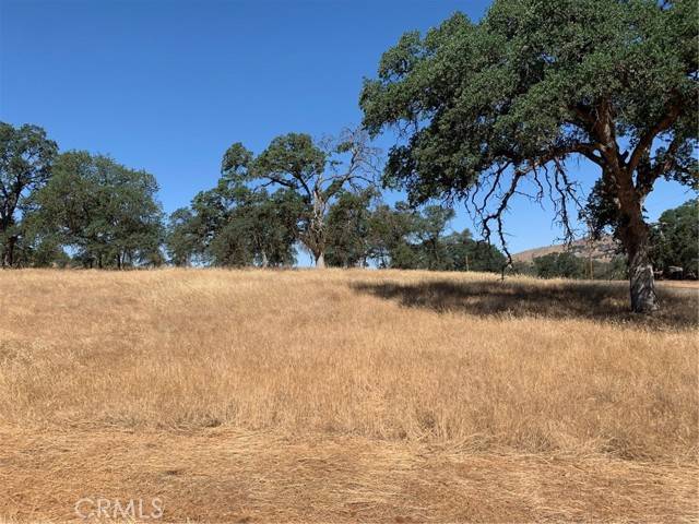 Catheys Valley, CA 95306,5 Thunder