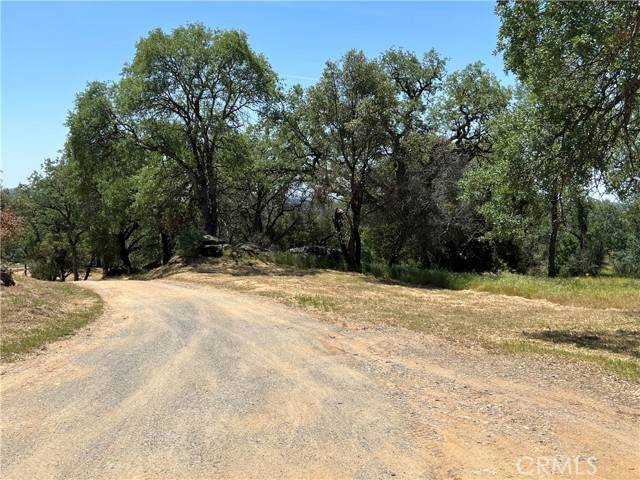 Mariposa, CA 95338,4869 Valley Oak Circle