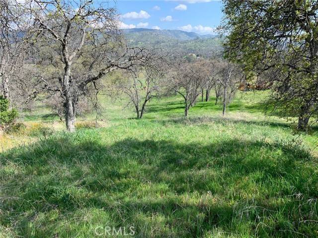 Catheys Valley, CA 95306,3288 Blue Oak