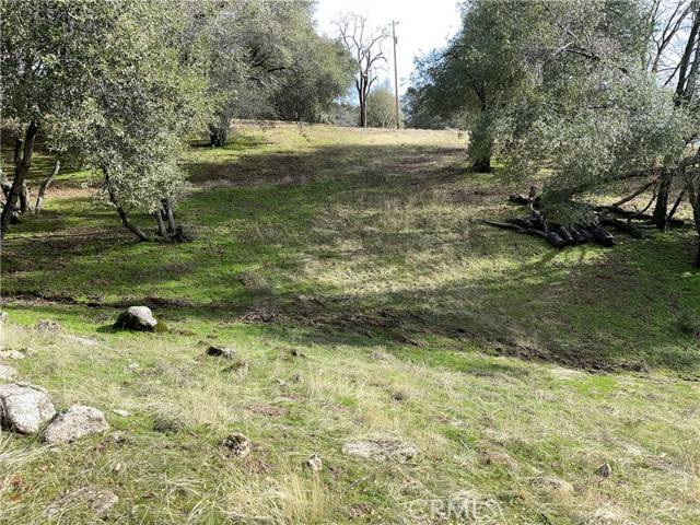 Mariposa, CA 95338,4 Valley View