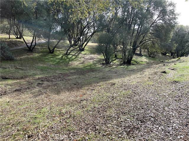 Mariposa, CA 95338,4 Valley View