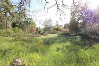 Mariposa, CA 95338,10 Meadow View