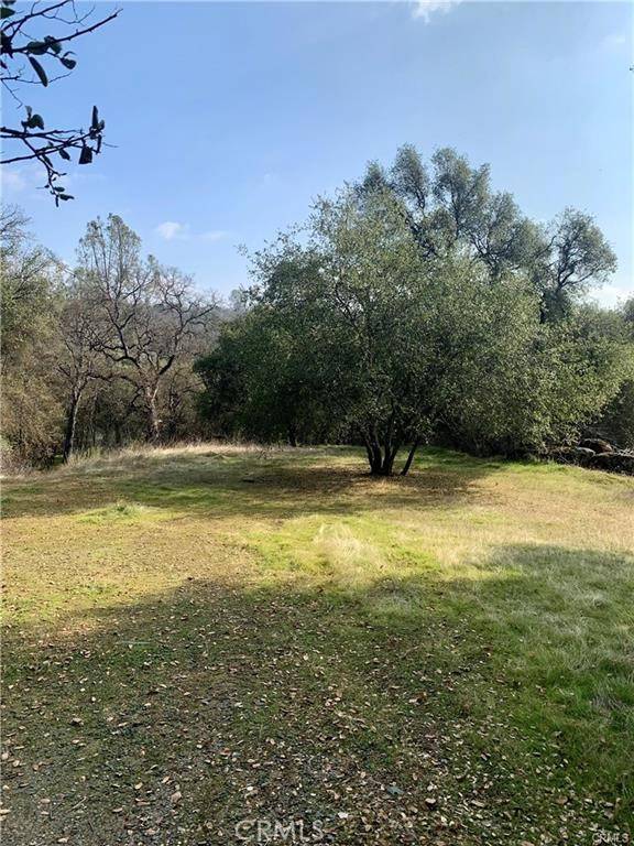 Mariposa, CA 95338,12 Meadow View Drive