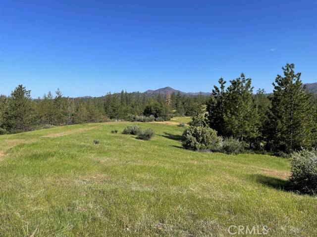 Mariposa, CA 95338,0 Triangle Road/Tip Top