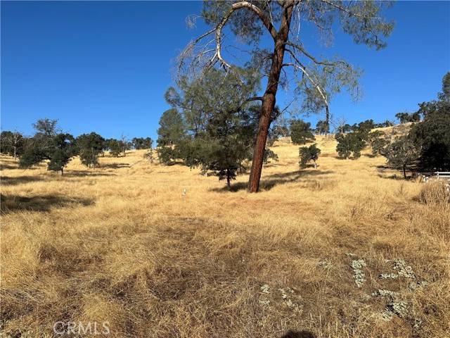 Catheys Valley, CA 95306,3228 Wild Rose