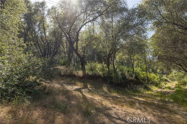 Mariposa, CA 95338,10 AC Miller Rd / Old Hwy