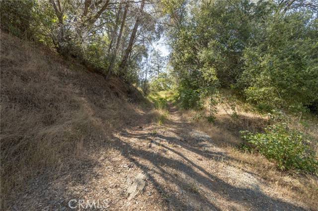 Mariposa, CA 95338,10 AC Miller Rd / Old Hwy